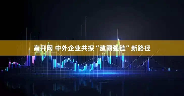 高开网 中外企业共探“建圈强链”新路径