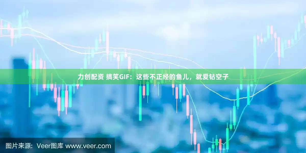 力创配资 搞笑GIF：这些不正经的鱼儿，就爱钻空子